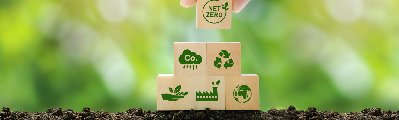 Sustainability